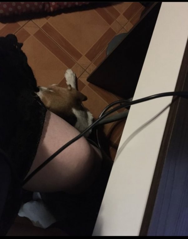 025B7AE3-6D00-4F18-A6CE-9AB7DBF92C60.jpeg