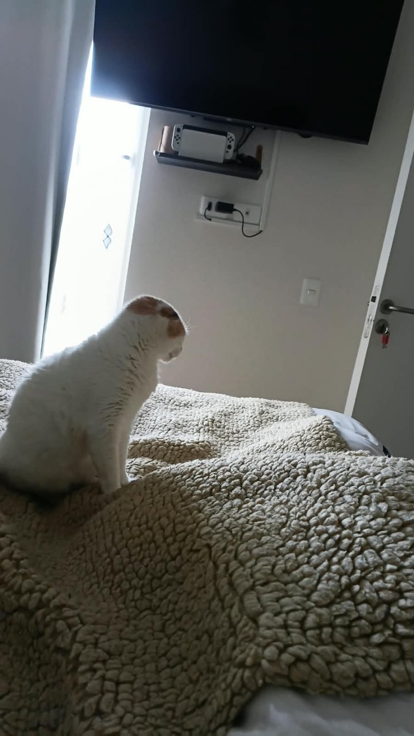 1000307365.jpg