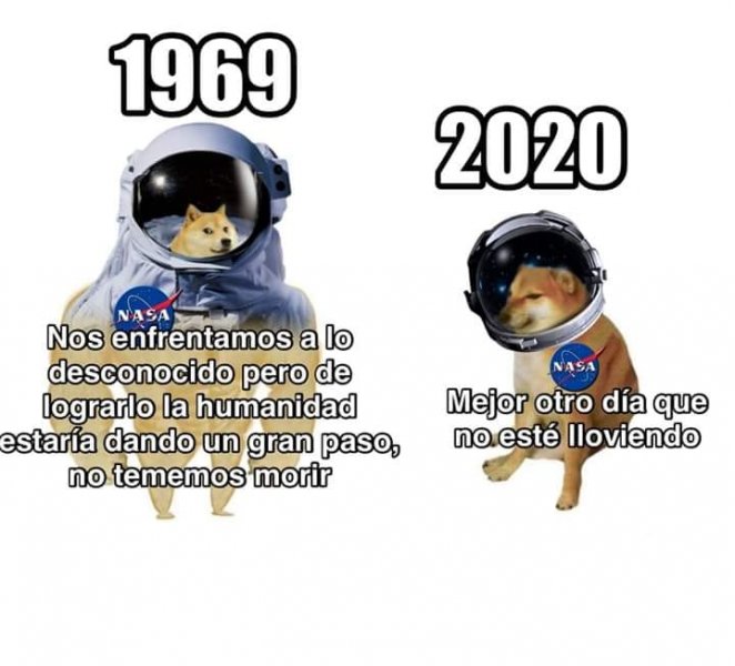 100086871_10220373575503775_929429703083687936_n.jpg