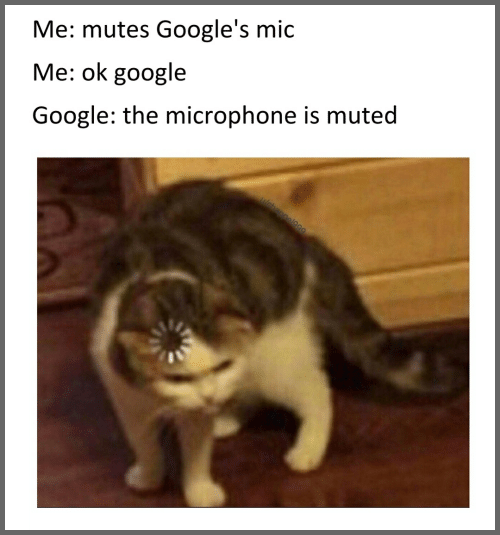 1610597900238.png
