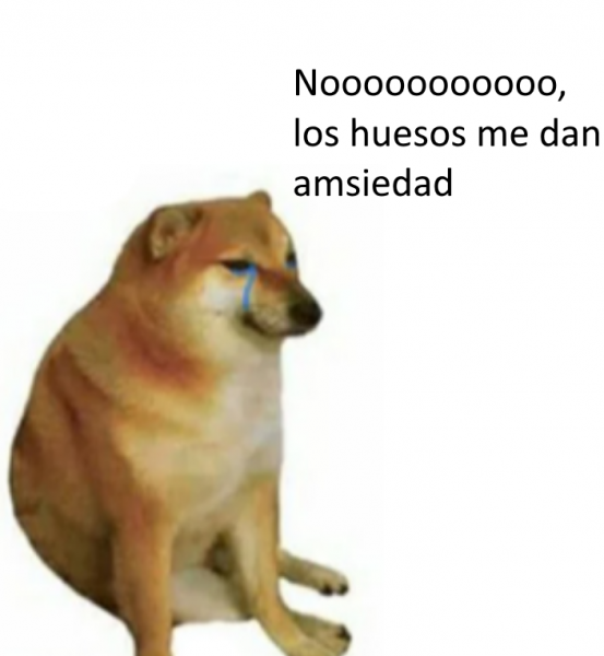 1614252572703.png