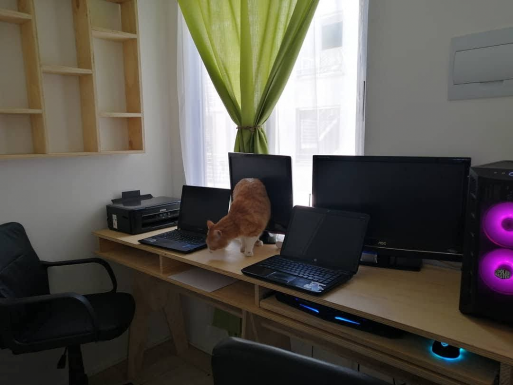 1650992172295.png