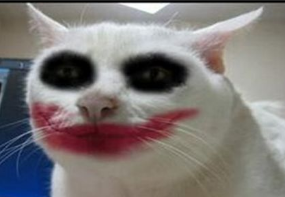 1653489711358.png