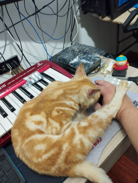 1761949368497.png 1761949368497.png