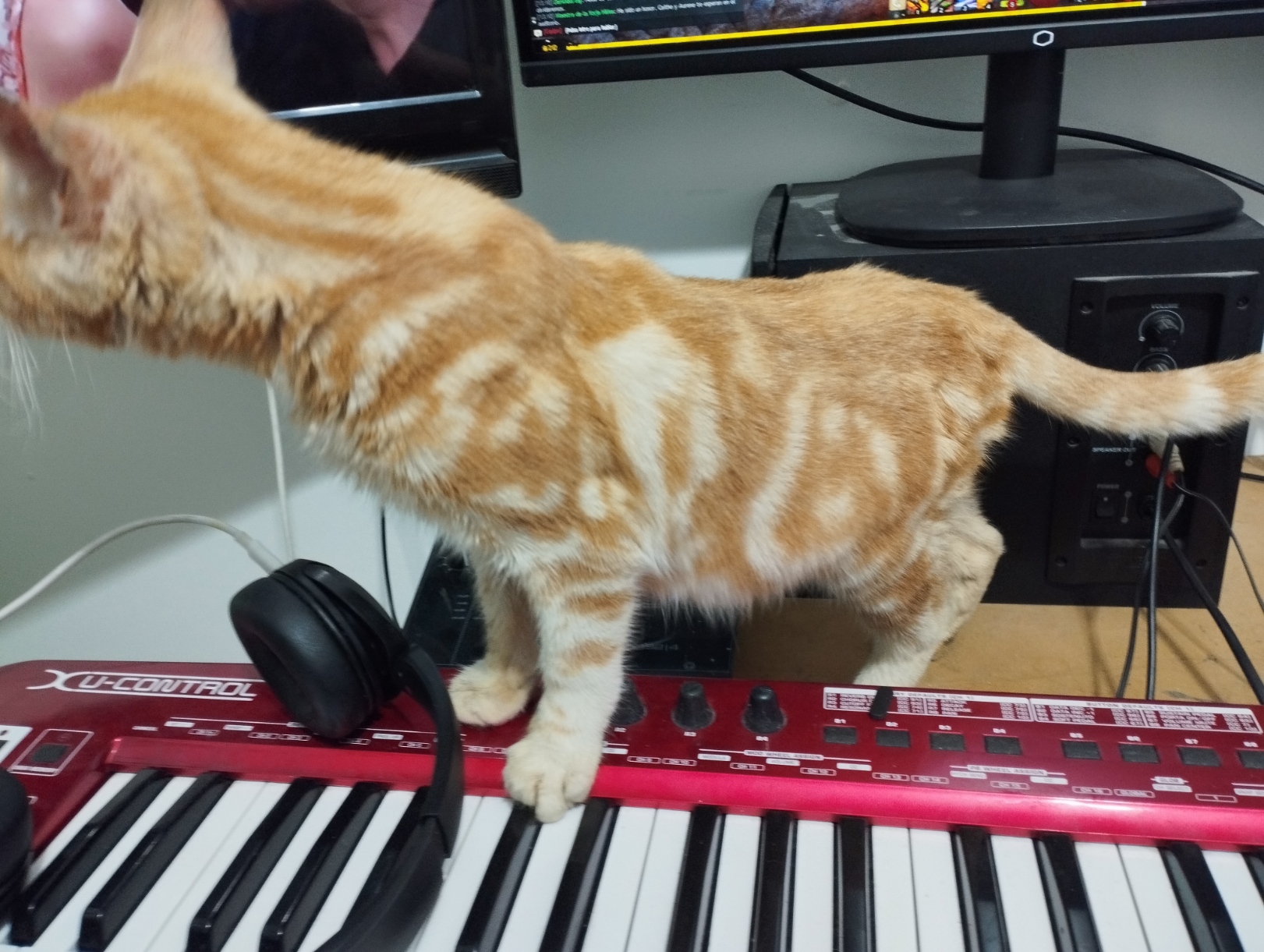 1761949394760.jpeg 1761949394760.jpeg