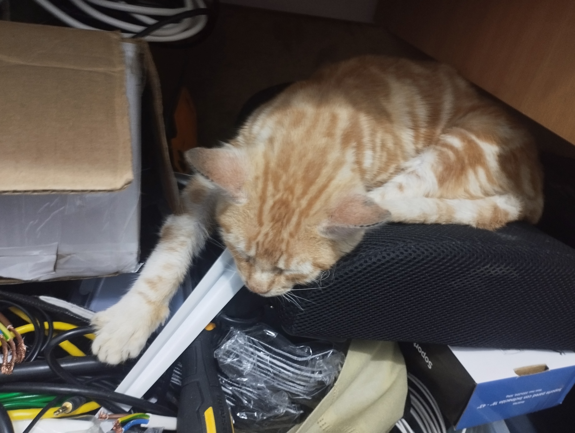 1761949414625.jpeg 1761949414625.jpeg