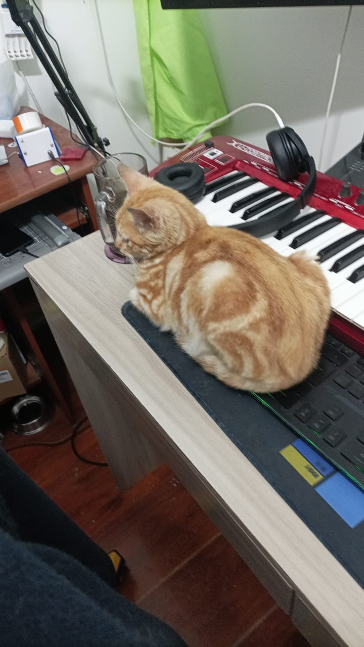 1761949461896.jpeg 1761949461896.jpeg