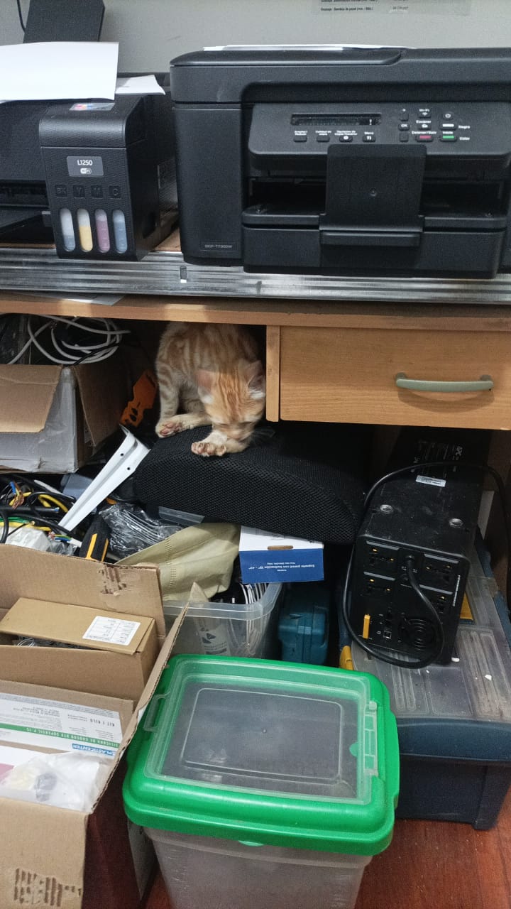 1761949493599.jpeg 1761949493599.jpeg