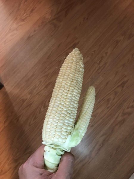 49948491_229724694624022_6096858908788260864_n.jpg