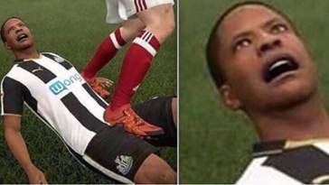 7.jpeg