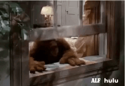alf.gif