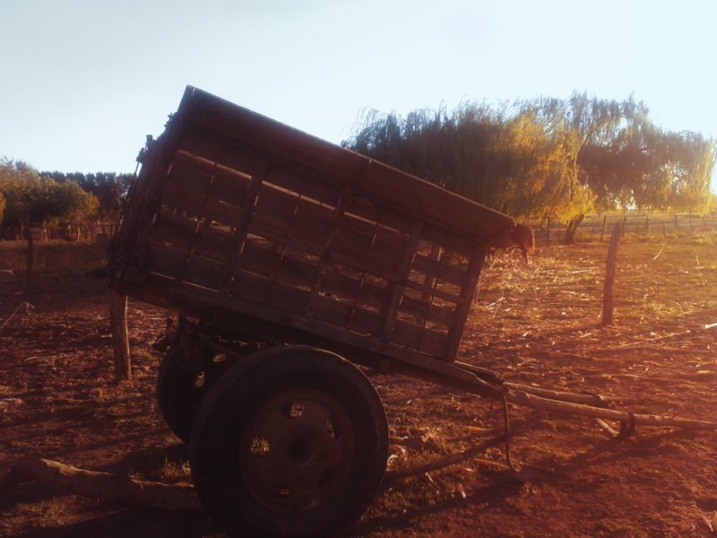 Atardecer.jpg