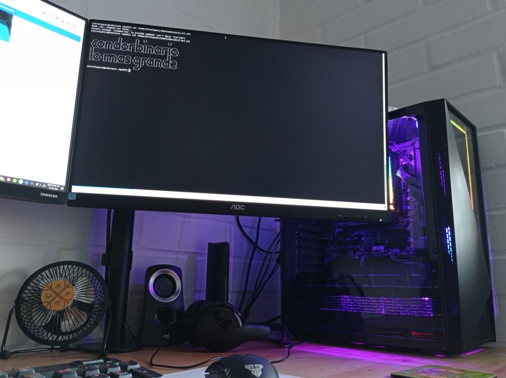 c9__k3rnelpanic_homeoffice_2.jpg