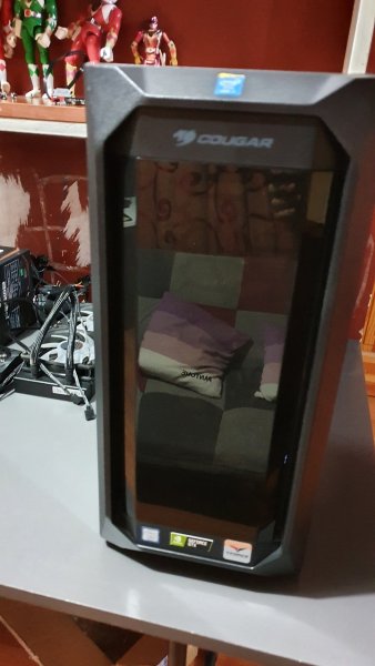 Cougar 2.jpg