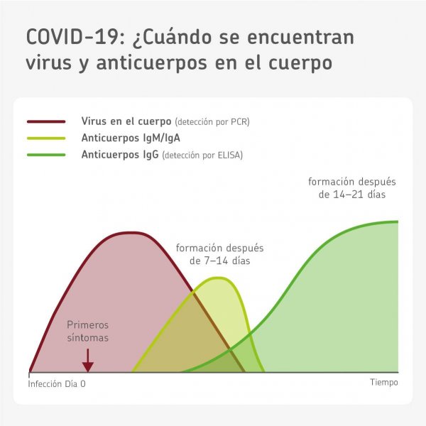 Diagrama_de_curva_Anticuerpos_ES.jpg