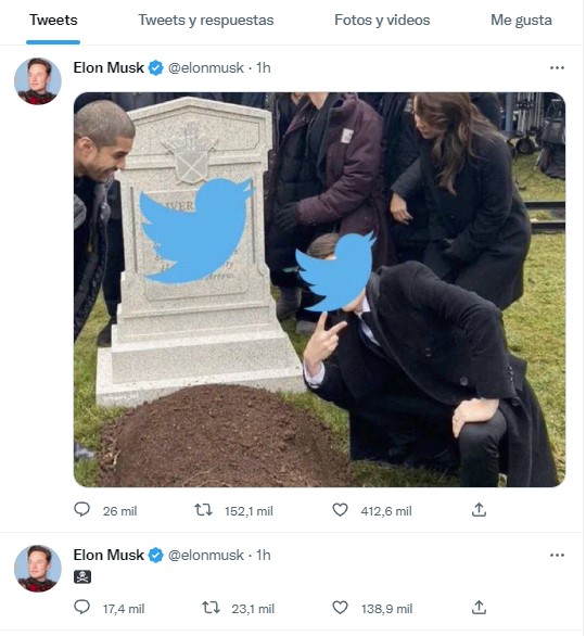 Elon Rip.jpg