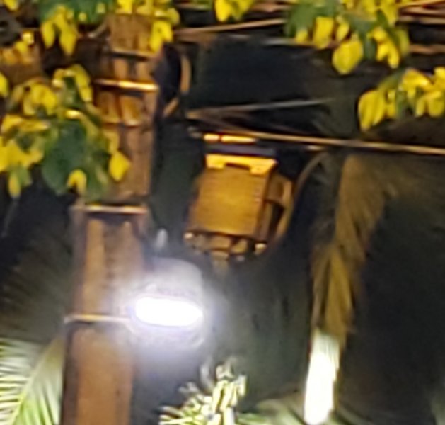 F01.jpg
