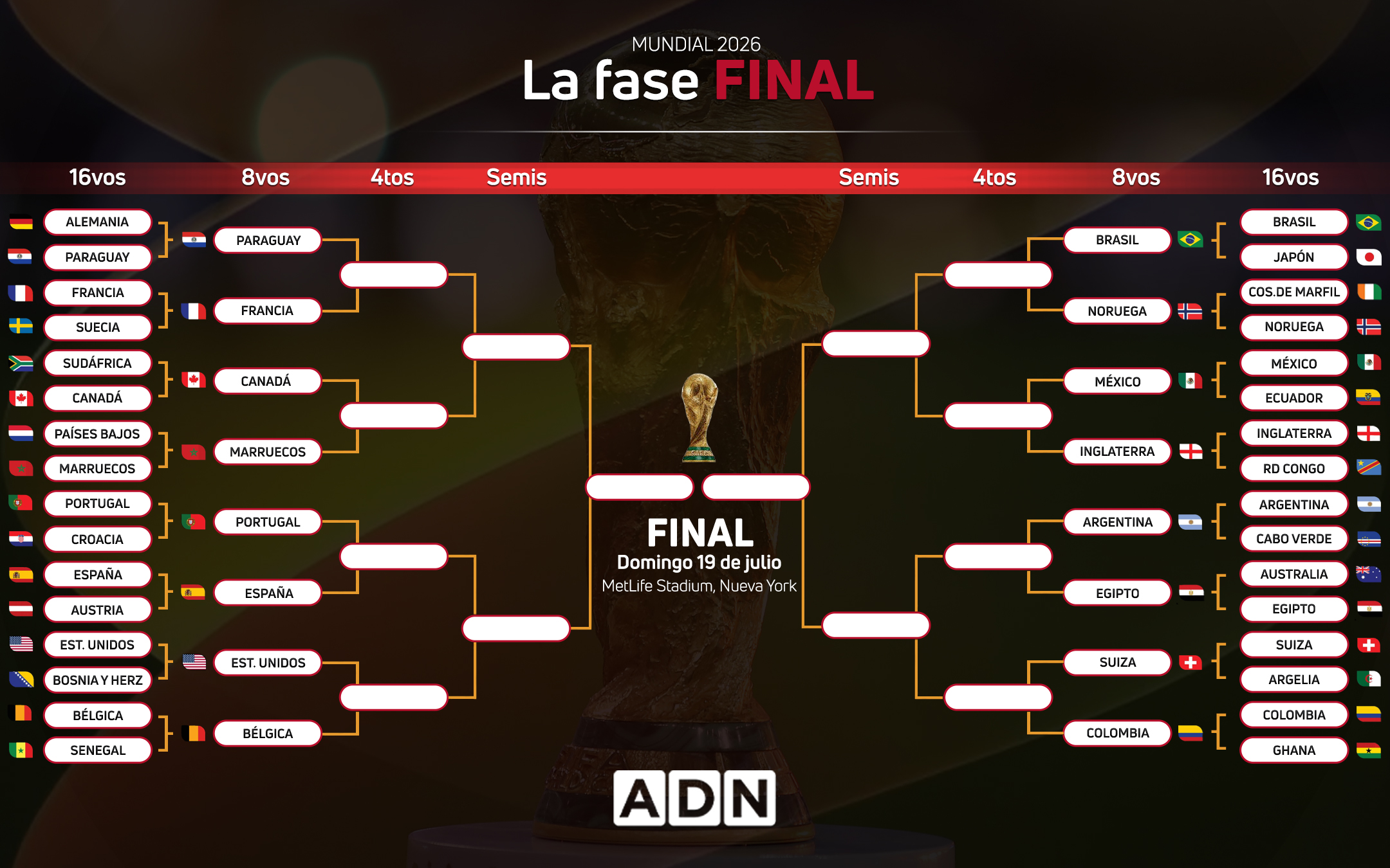 Fase Final Adn.jpg