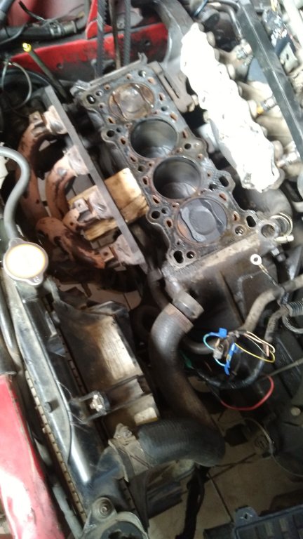 IMG-20220829-WA0009.jpeg