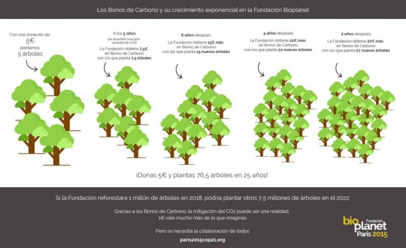 INFOGRAFIA-BONO1-1000x610.jpg