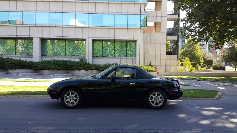 Miata - Ciudad Empresarial.jpg