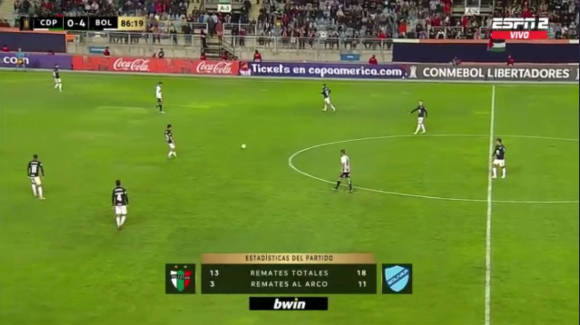 palestino bolivar.jpg
