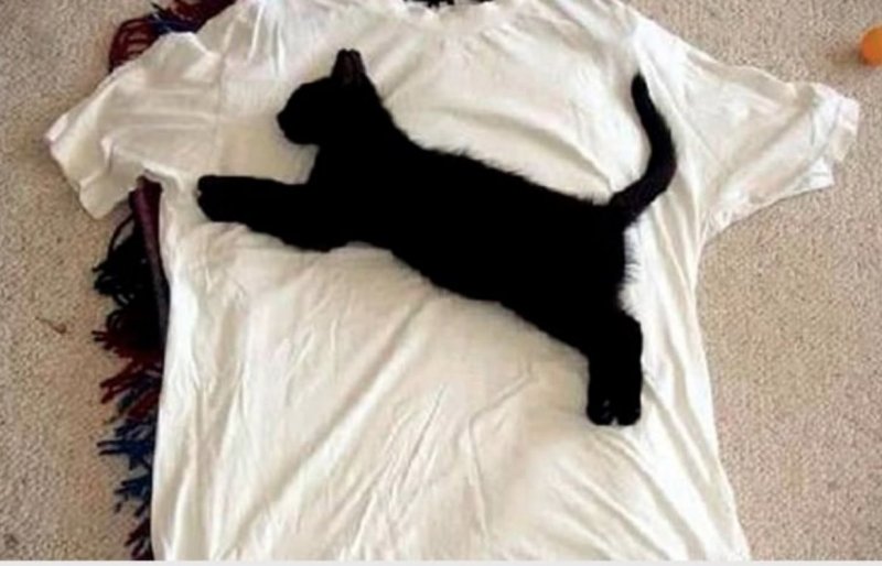 polera_puma.jpg