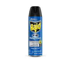 Raid.png