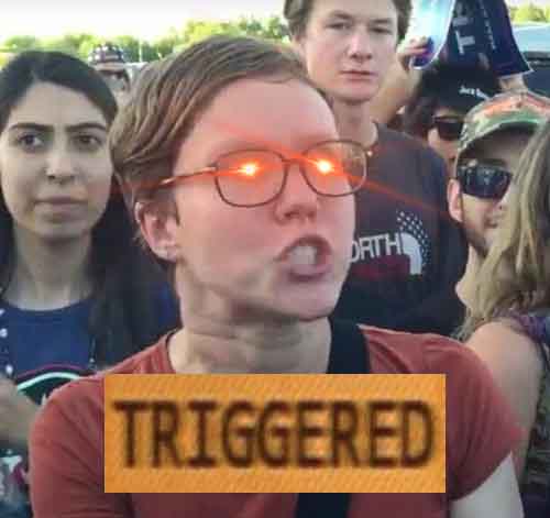 Triggered-meme.jpg