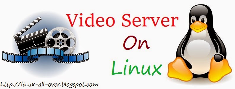 videoserver.jpg