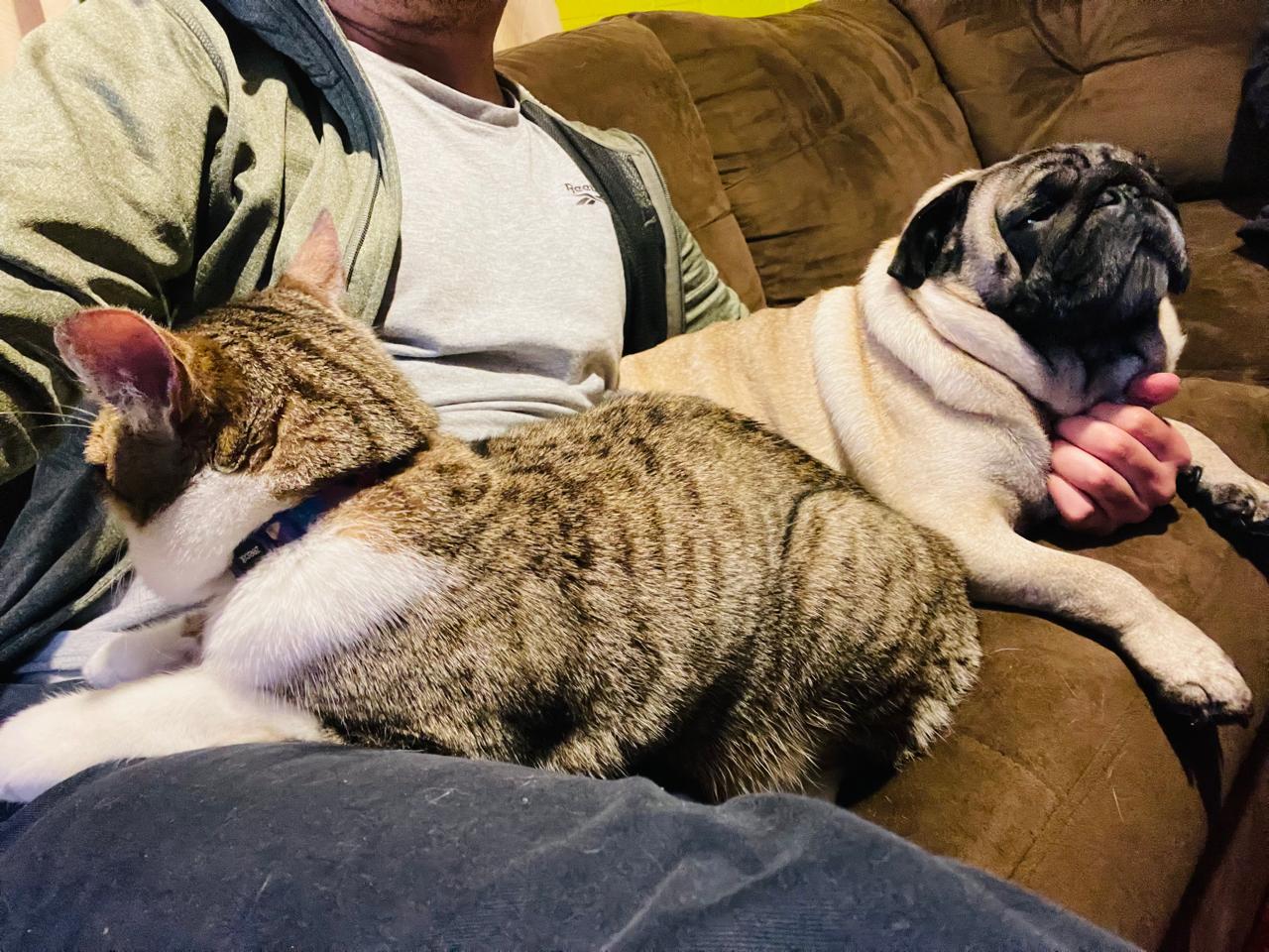 WhatsApp Image 2025-10-30 at 11.15.47 PM.jpeg