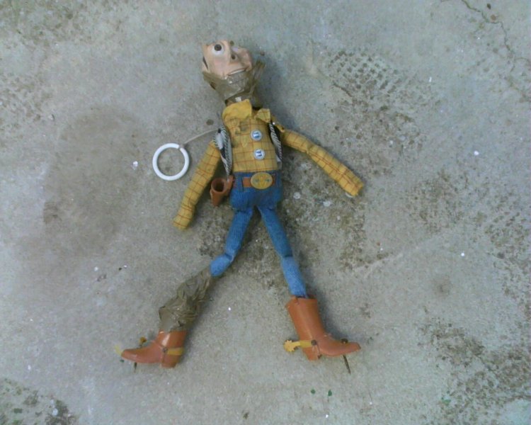 Woody 3.jpg