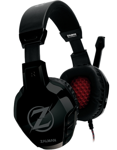 zalman.png
