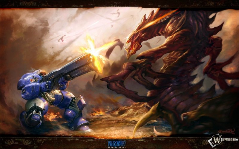 zerg_vs_terran_final.jpg