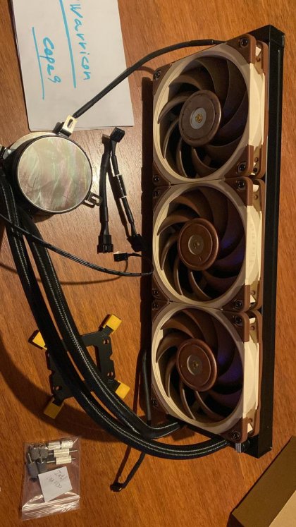 Noctua 5.jpg