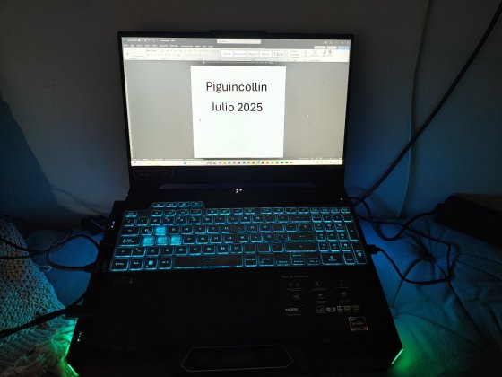 1000093532.jpg