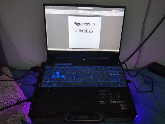 1000093533.jpg