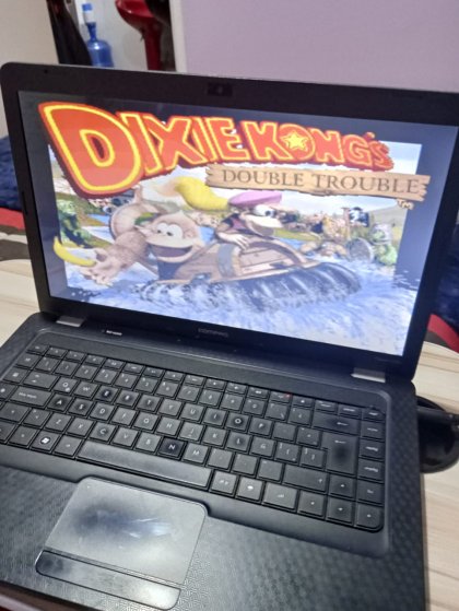 012 Dixie Kong.jpeg 012 Dixie Kong.jpeg