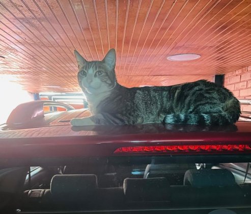 WhatsApp Image 2025-09-24 at 2.59.29 PM.jpeg