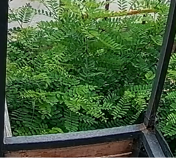 Desktop 2025-12-11 14-14-50-599.png