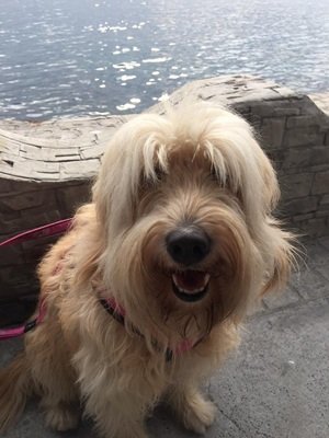 Eva de paseo 2014.jpg