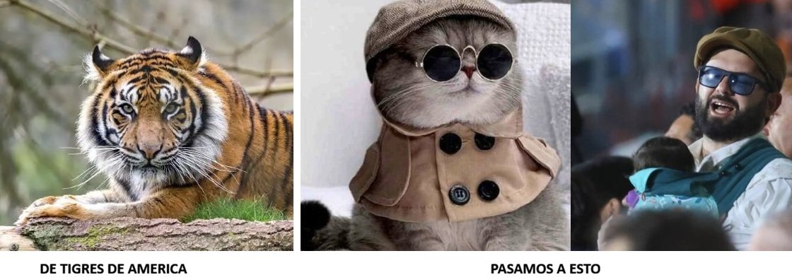 Tigre de bengala.jpg