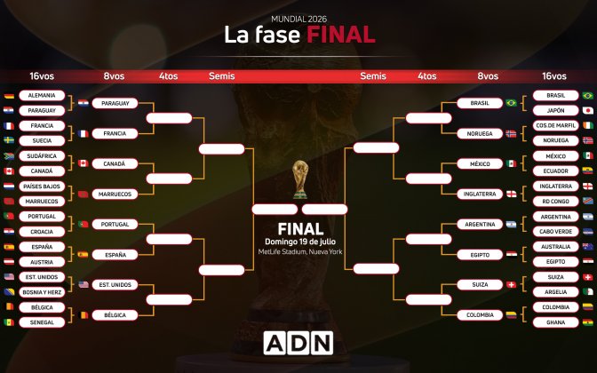 Fase Final Adn.jpg