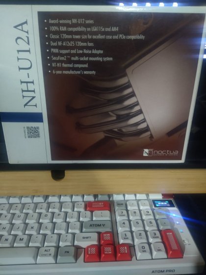 NOCTUA11.jpeg NOCTUA11.jpeg