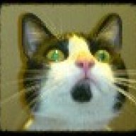 mo_cp