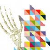 Cat_Volta