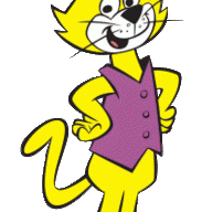 Don Gato