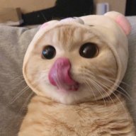 TheGeralx