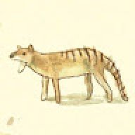 Jellyhuemul