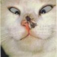 Destruction